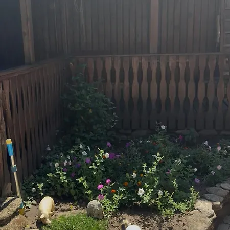 в фонтанке Feriehus *